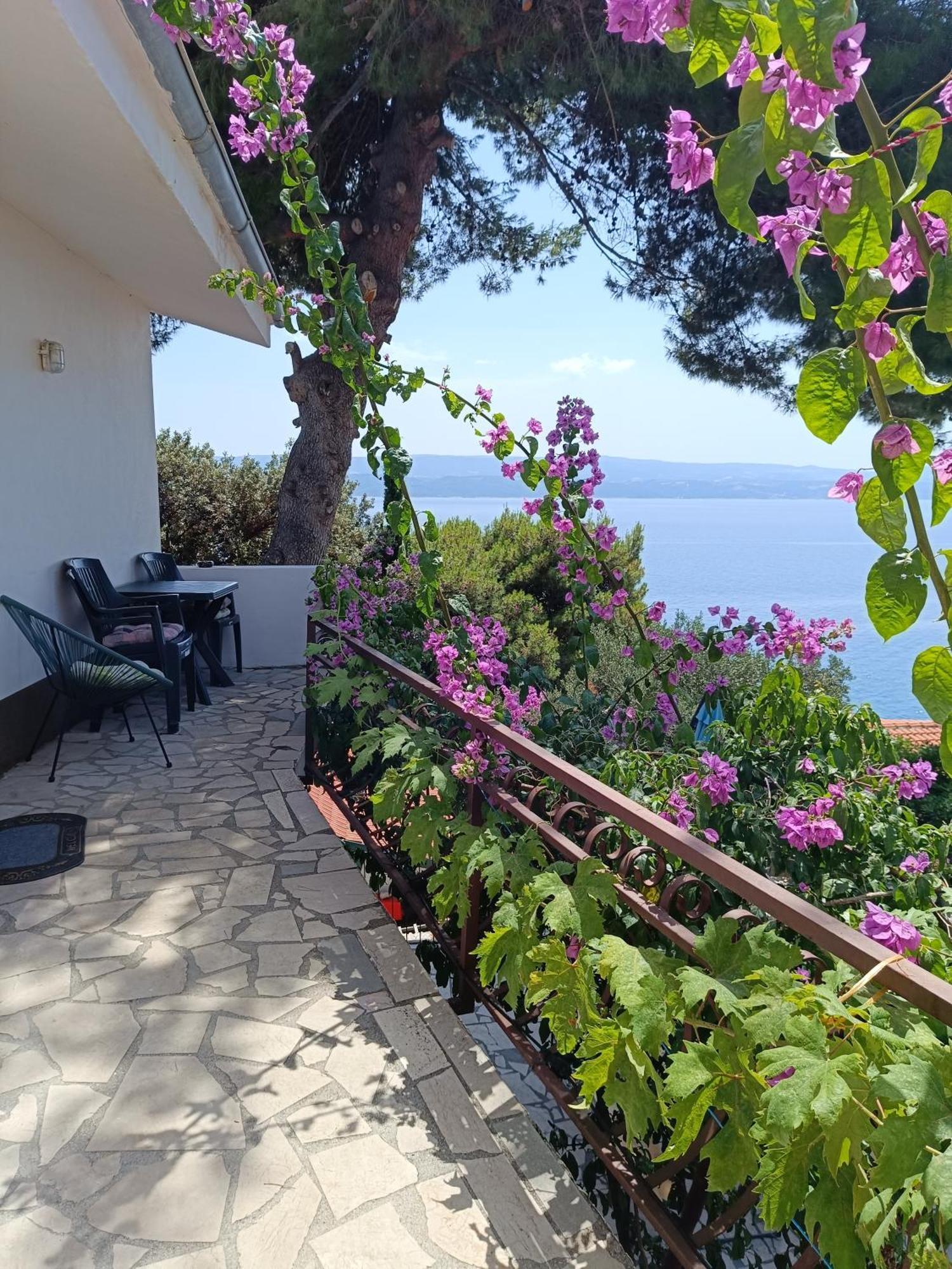 Studio Apartmani Tucic Čelina Exterior foto